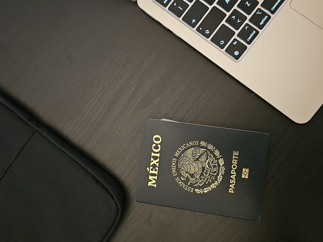 ¿Qué Hacer Si Pierdes Tu Pasaporte en el Extranjero? - Tramitadora Vitaluz